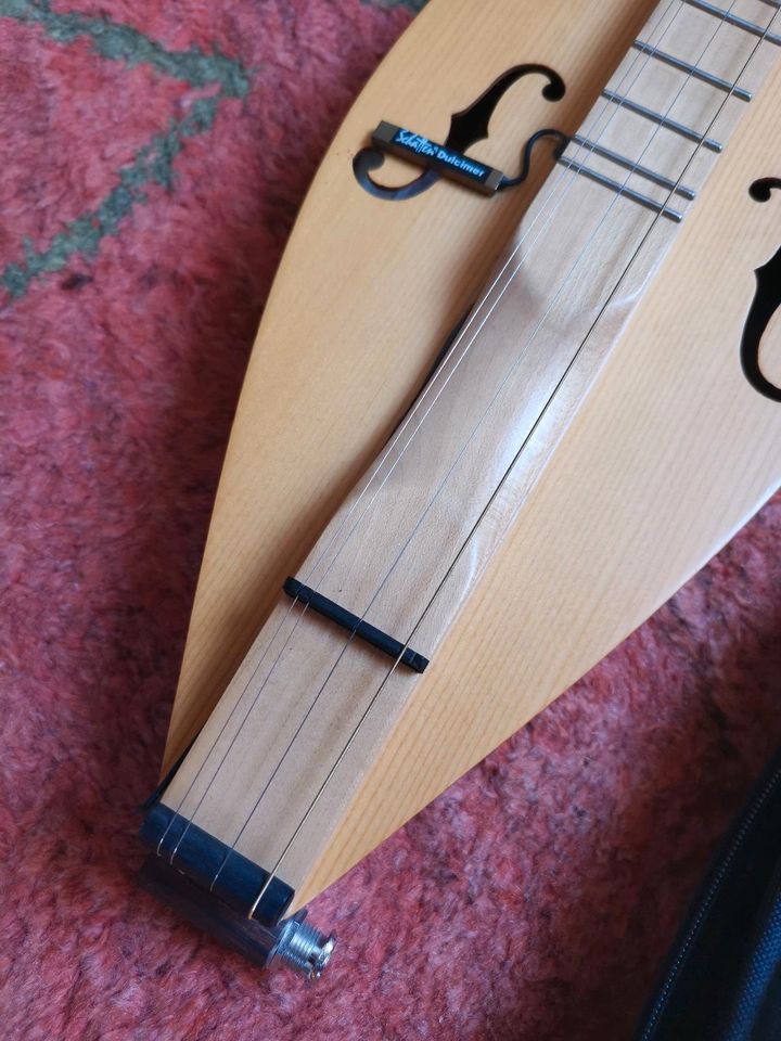 Dulcimer mit Pickup in Reinfeld