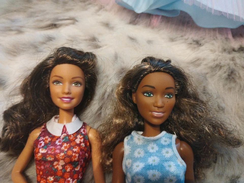 Barbie Fashionistas mit Kleidung und Accessoires in Reppenstedt