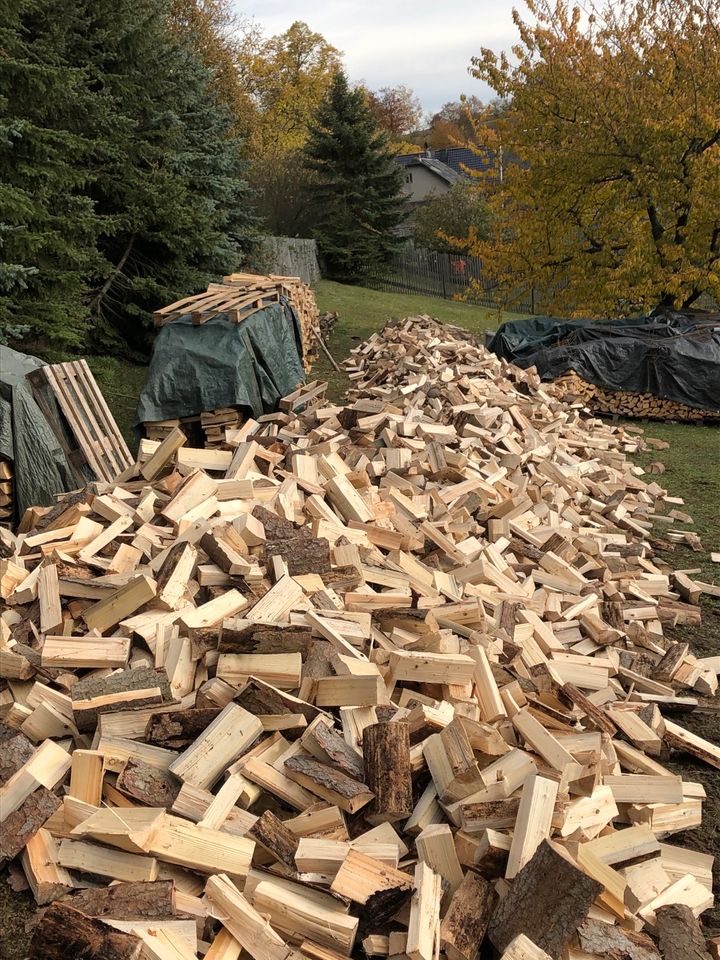 Holz / Brennholz / Kaminholz in Saalfeld (Saale)