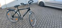 Fahrrad 28zoll  Herrenrad Trekkingrad Kelvin Bayern - Sennfeld Vorschau