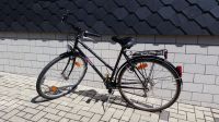 Fahrrad Damenrad Rad EPPLE WILDCAT 28 Zoll 21 Gänge Bayern - Bad Steben Vorschau