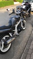 Suzuki GS 500e Nordrhein-Westfalen - Beverungen Vorschau