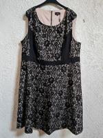 Abendkleid cocktailkleid Feierlichkeit asos 52 54 56 neu Nordrhein-Westfalen - Oelde Vorschau