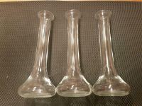 Glasvasen 3 Stück, Vase Glas, Deko Schleswig-Holstein - Hennstedt bei Itzehoe Vorschau