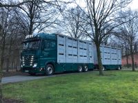 Kraftfahrer / Viehfahrer / LKW Fahrer (m/w/d) für Tiertransporte Nordrhein-Westfalen - Sassenberg Vorschau