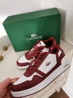 Lacoste - Sneaker - NEU GR 38/39 bordeaux Geschenk Essen - Essen-Stadtmitte Vorschau