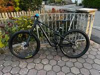 Canyon Strive CF L 2019 Mountainbike Rockshox ZEB Hope Tech3 V4 Baden-Württemberg - Neuenstadt Vorschau
