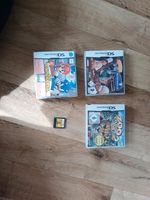 Nintendo DS Spiele Brandenburg - Neuruppin Vorschau