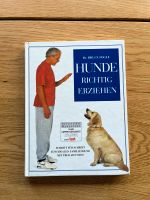 Buch- Hunde richtig erziehen Saarbrücken-West - Altenkessel Vorschau