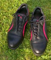 Schöne Golfschuhe von Puma (Damen, Gr. 37,5) Brandenburg - Panketal Vorschau