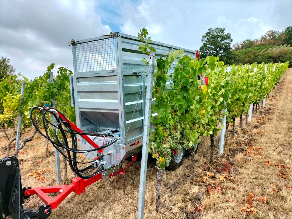 Weinbergstreuer Kompoststreuer für Weinbau Obstbau Hopfenbau in Markt Nordheim