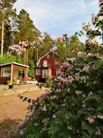 Schwedenhaus in Smaland zu verkaufen Parchim - Landkreis - Dobbertin Vorschau