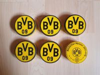 BVB Dortmund Dosen Baden-Württemberg - Magstadt Vorschau