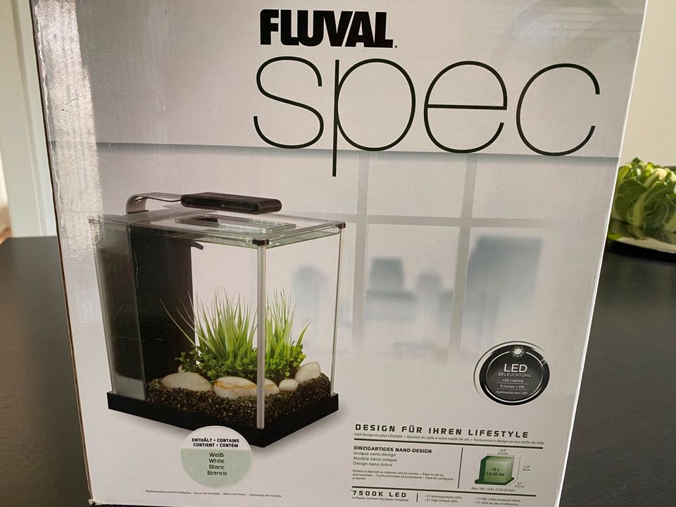 Fluval Spec Aquarium 10 l in Worbis