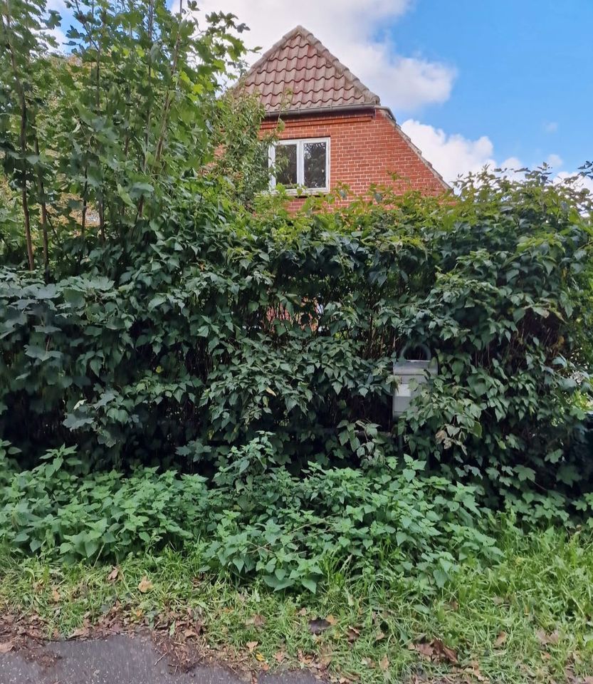 Villa im Dornröschenschlaf - 2661 Bredebro Dänemark in Süderlügum