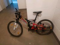 Zündapp Mountainbike für Jugendliche Bielefeld - Bielefeld (Innenstadt) Vorschau