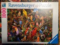 Ravensburger Puzzle 1000 Teile Niedersachsen - Bad Bentheim Vorschau