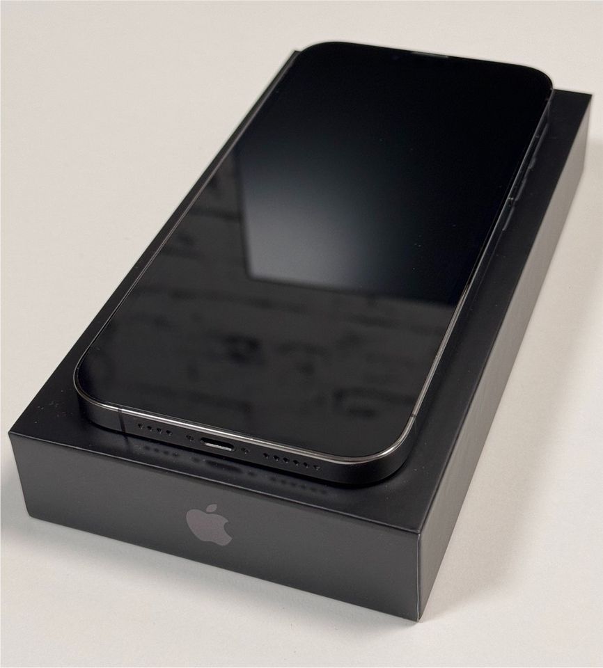 iPhone 13Pro Max 256GB mit Original Apple Silicon Case in Wetzlar