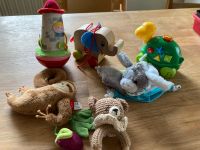 Diverse Baby Spielsachen VB Bayern - Kirchehrenbach Vorschau