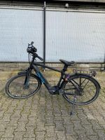 Falter E 8.9  Herren E-bike Fahrrad Niedersachsen - Großheide Vorschau