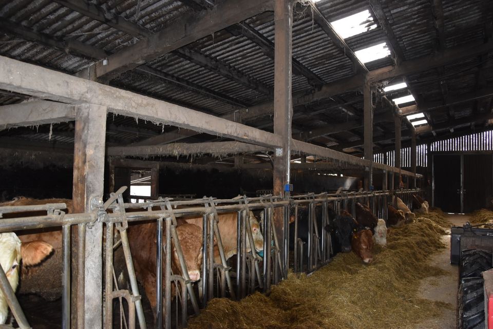 Resthof mit großen Stallungen und arrondiertem Weideland !!! BIO konformer Stall !! in Bad Berleburg