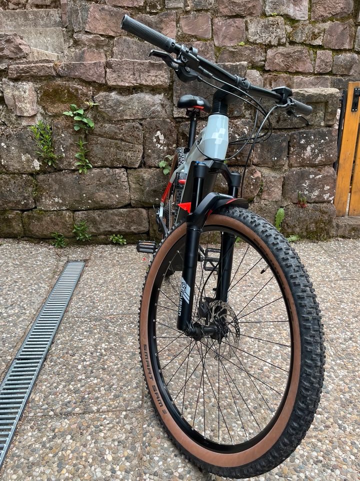 Ebike Cube Reaction Pro in Alpirsbach