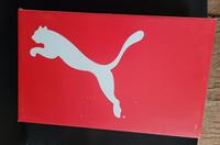 Puma Tenaz Hallenschuhe Damen NEU Thüringen - Leinefelde Vorschau