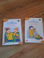 DVD Caillou 2 Stück, FSK 0 Sachsen - Struppen Vorschau