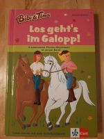 Bibi & Tina Los geht's im Galopp Bayern - Stammham b. Ingolstadt Vorschau