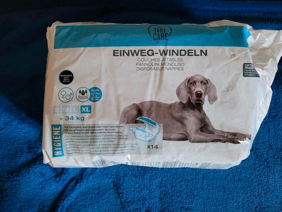 EINWEGWINDELN EINLAGEN SCHUTZHÖSCHEN HÜNDIN L / XL HALSKRAUSE in Königs Wusterhausen