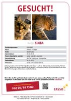 Vermissen seit dem 26.1. unseren Kater Simba Nordrhein-Westfalen - Löhne Vorschau