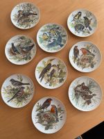 Alt Tirschenreuth - 9 Wandteller mit sehr schönen Vogelmotiven Niedersachsen - Braunschweig Vorschau