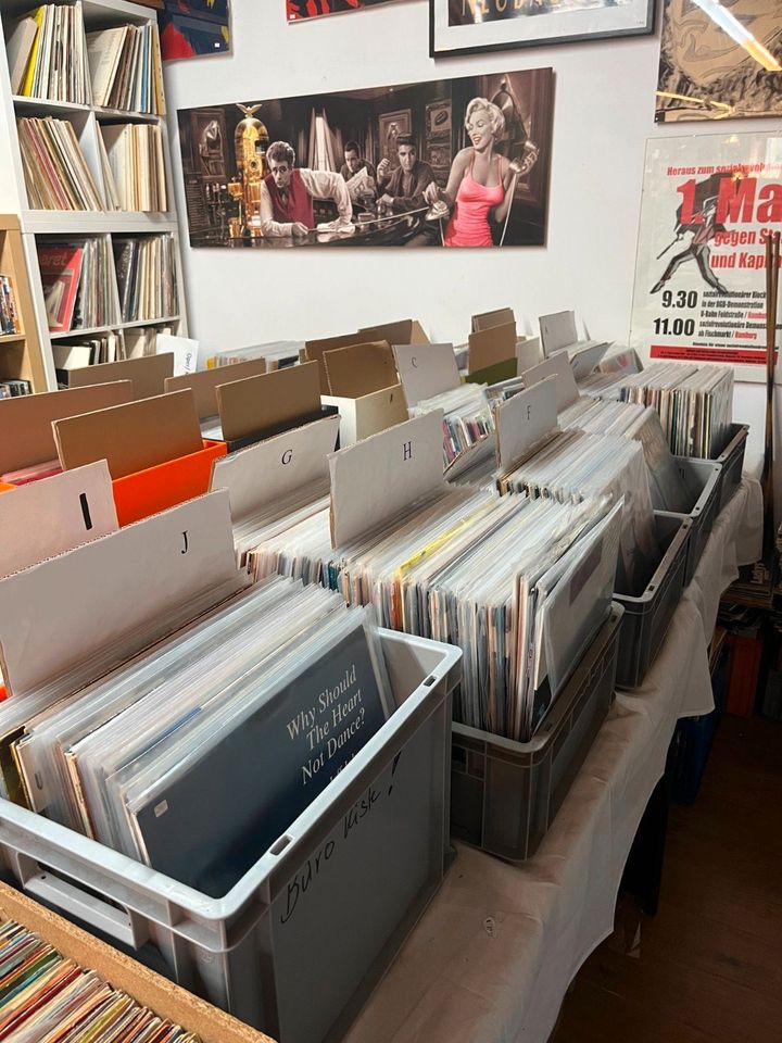 Lp´s Schallplatten Vinyl in Dresden