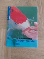 Faszinierende Koi von Hilble und Langfeldt-Feldmann Niedersachsen - Dransfeld Vorschau