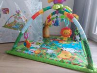 Fisher-Price Dschungel Erlebnisdecke Spielbogen Essen - Rüttenscheid Vorschau