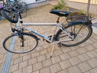 Herren Fahrrad  28 Zoll Bayern - Höhenberg i. T. Vorschau