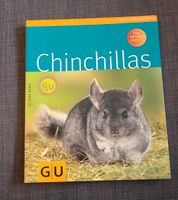 Chinchilla - Juliana Bartl Niedersachsen - Seevetal Vorschau