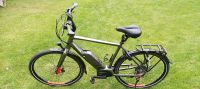 Koga PACE B05 TOKYO EDITION E-Bike Pedelec citybike Nordrhein-Westfalen - Rietberg Vorschau