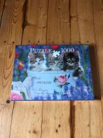 1000 Teile Puzzle Katzen Katzenbaby Niedersachsen - Buchholz in der Nordheide Vorschau