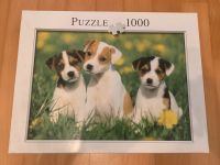 Hunde Welpen Puzzle 1000 Teile Essen - Bredeney Vorschau