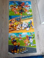 Paw Patrol 3x24 Teile im Kasten Nordrhein-Westfalen - Paderborn Vorschau