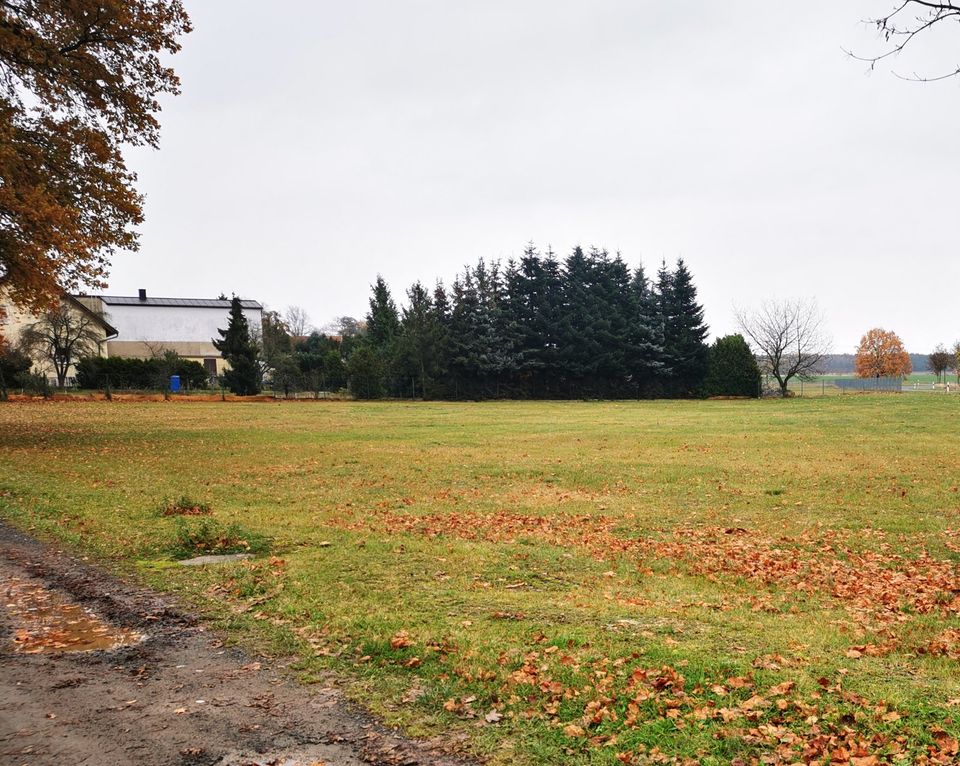 Baugrundstück mit 724m² in Wittenberg zu verkaufen in Lutherstadt Wittenberg