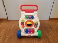 Fisher Price Activity Lauflernwagen Rollwagen mit Spielstation Baden-Württemberg - Karlsruhe Vorschau