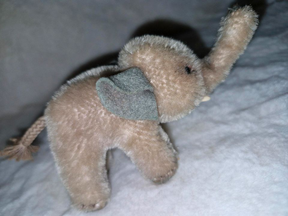 Alte Mohair elefant von Steiff in Köln