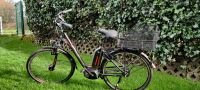 E-Bike City-Bike Trekking-Bike Damenfahrrad v. Bergamont Nordrhein-Westfalen - Burscheid Vorschau