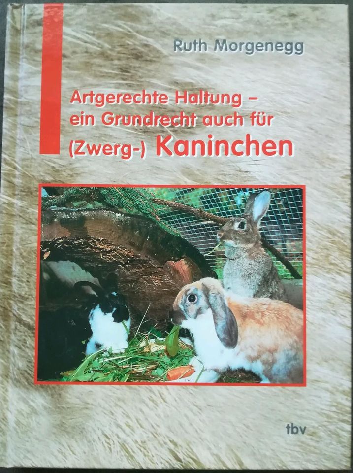 Artgerechte Haltung - ein Grundrecht auch für (Zwerk) Kaninchen in Bergisch Gladbach