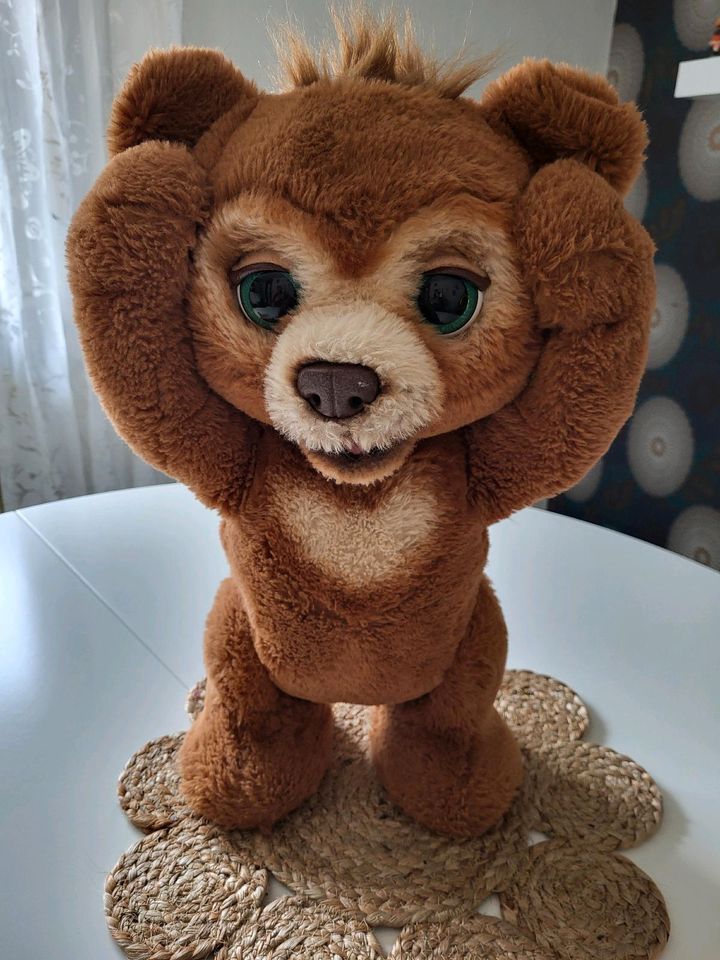 Cubby FurReal Bär Teddybär in Pfinztal