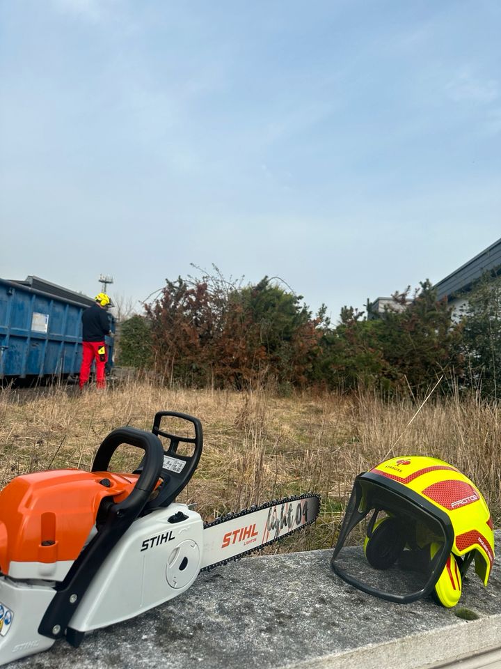 Baumfällung, Baumpflege, Grünschnitt, Gartenarbeit, Baggerarbeit in Frechen