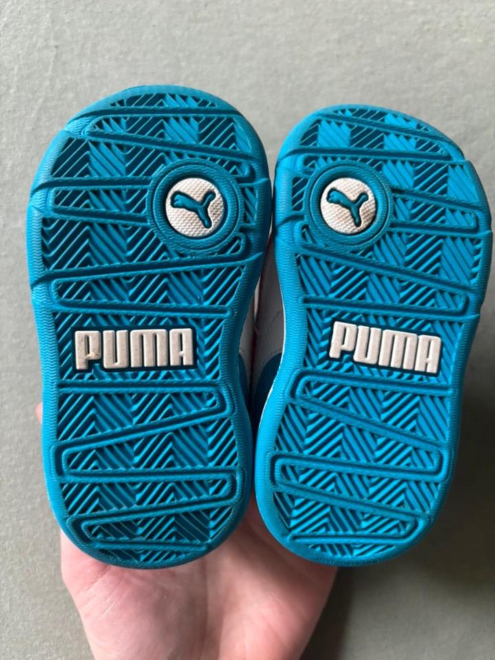 Puma Sneaker, Krabbelschuhe in Köln