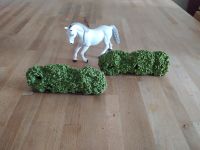 Schleich Hecke 30659 Rheinland-Pfalz - Ludwigshafen Vorschau